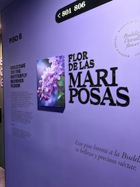 Color y flor del piso 8