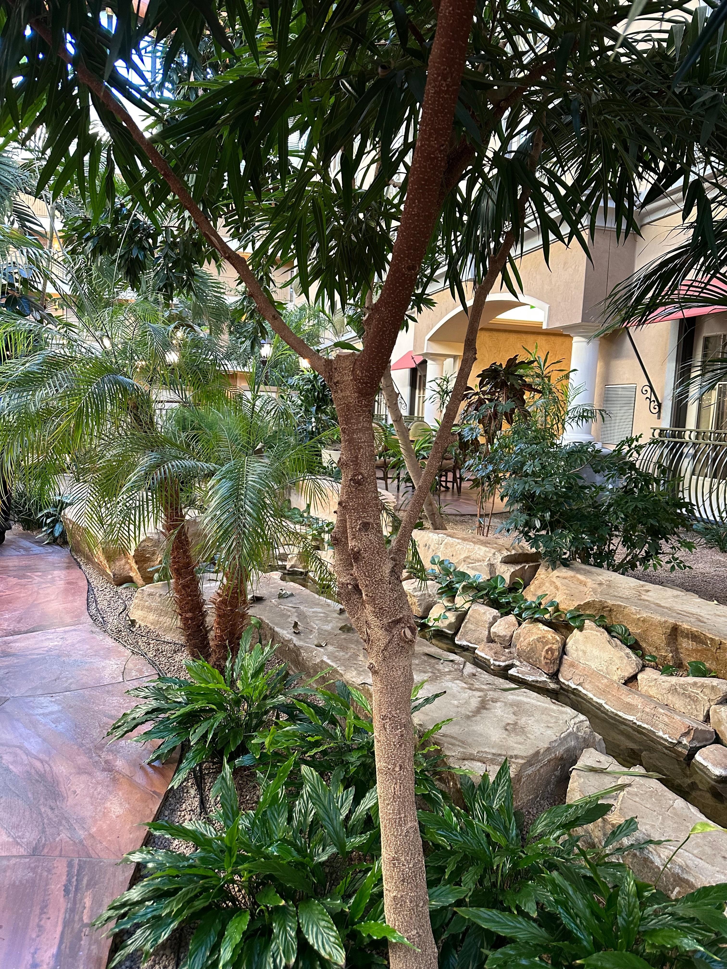 The lobby & restaurant/bar dining room is so peaceful & even has a stream with Koi. If you're looking to stay near DEN, this is a great spot & rates are a good value!