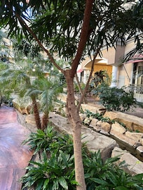 The lobby & restaurant/bar dining room is so peaceful & even has a stream with Koi. If you're looking to stay near DEN, this is a great spot & rates are a good value!