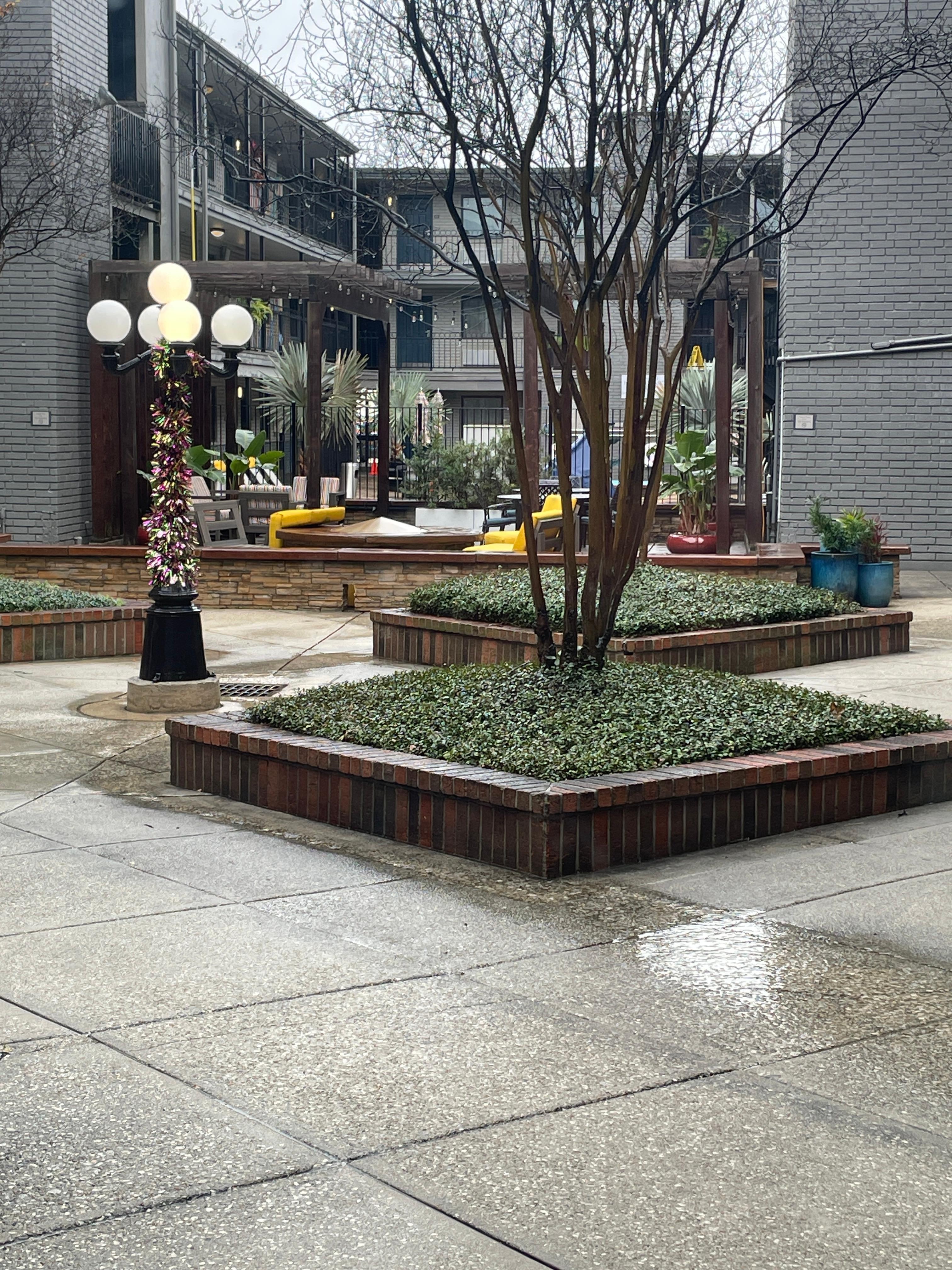 Outside clean and decorated for Mardi Gras theme.