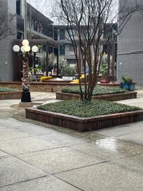 Outside clean and decorated for Mardi Gras theme.