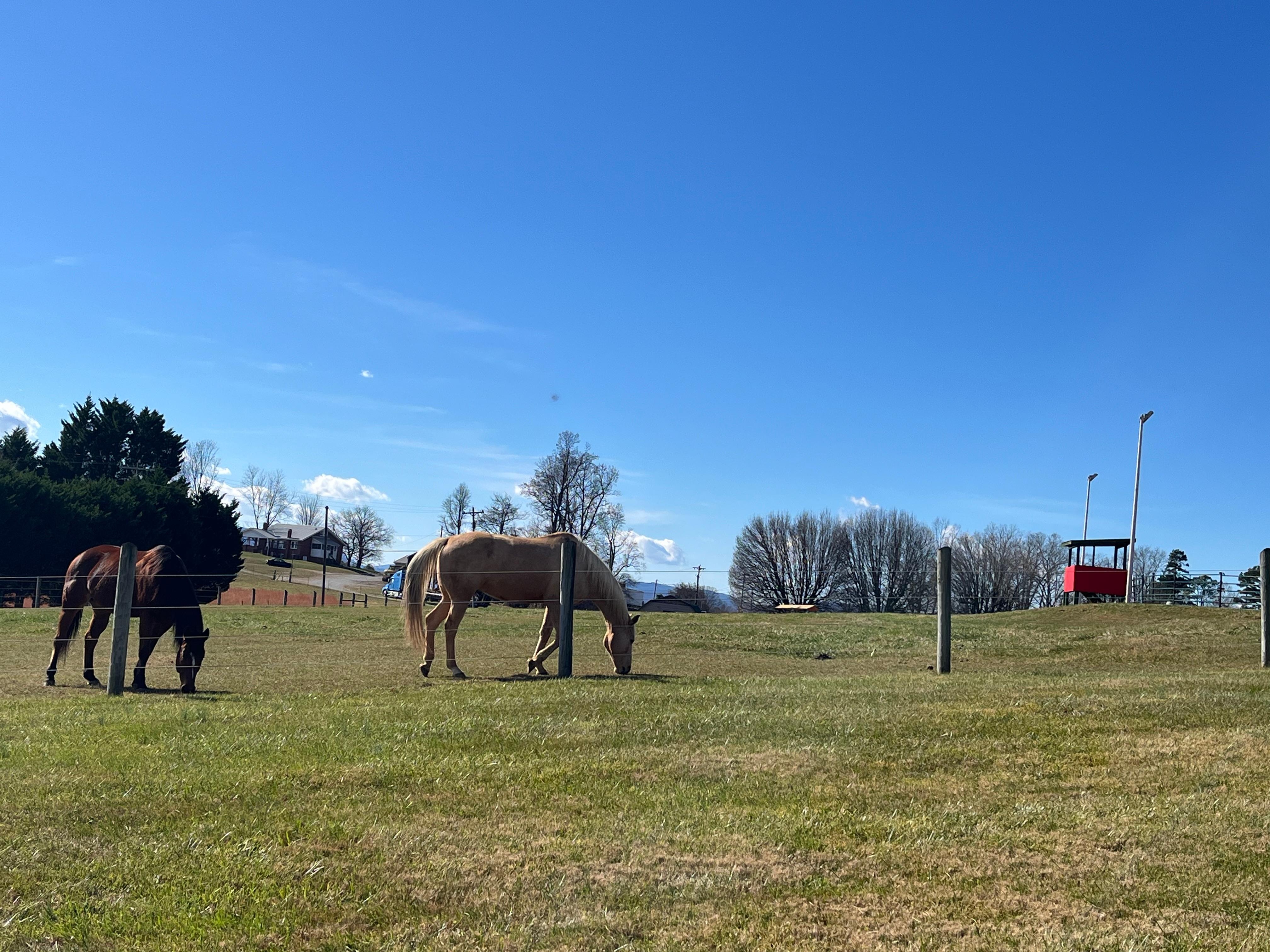 Our nextdoor neighbors