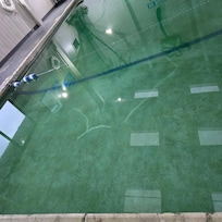 Disgusting pool