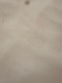 Hairs on the “clean sheets”