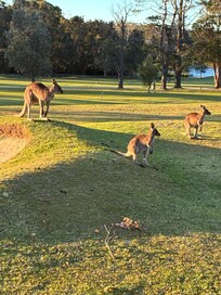 Country Club
St George Basin