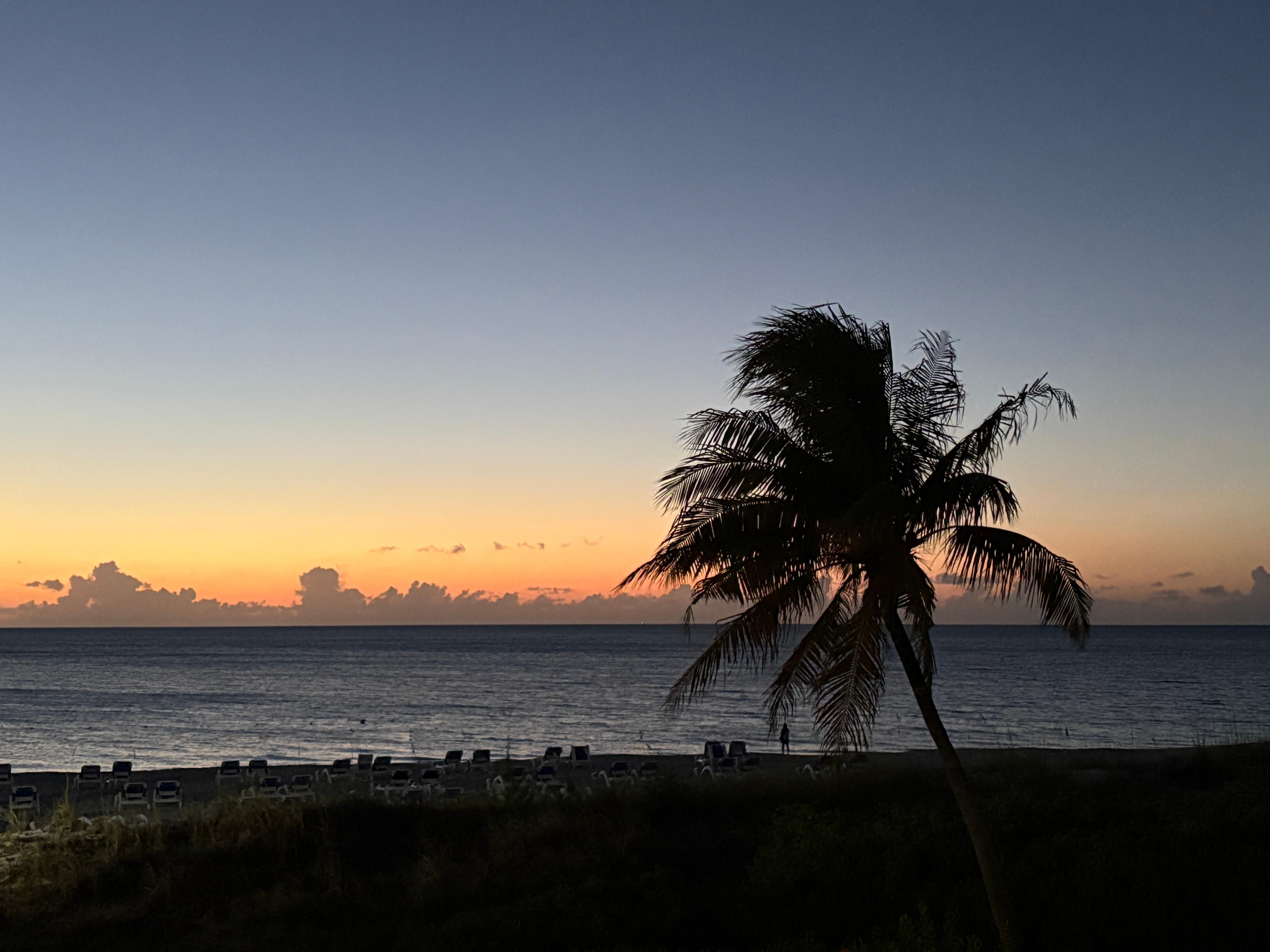 Balcony view
