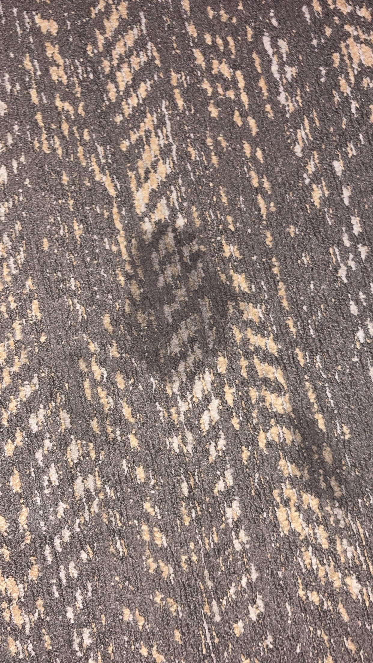 large stains throughout room. 