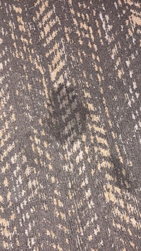 large stains throughout room.