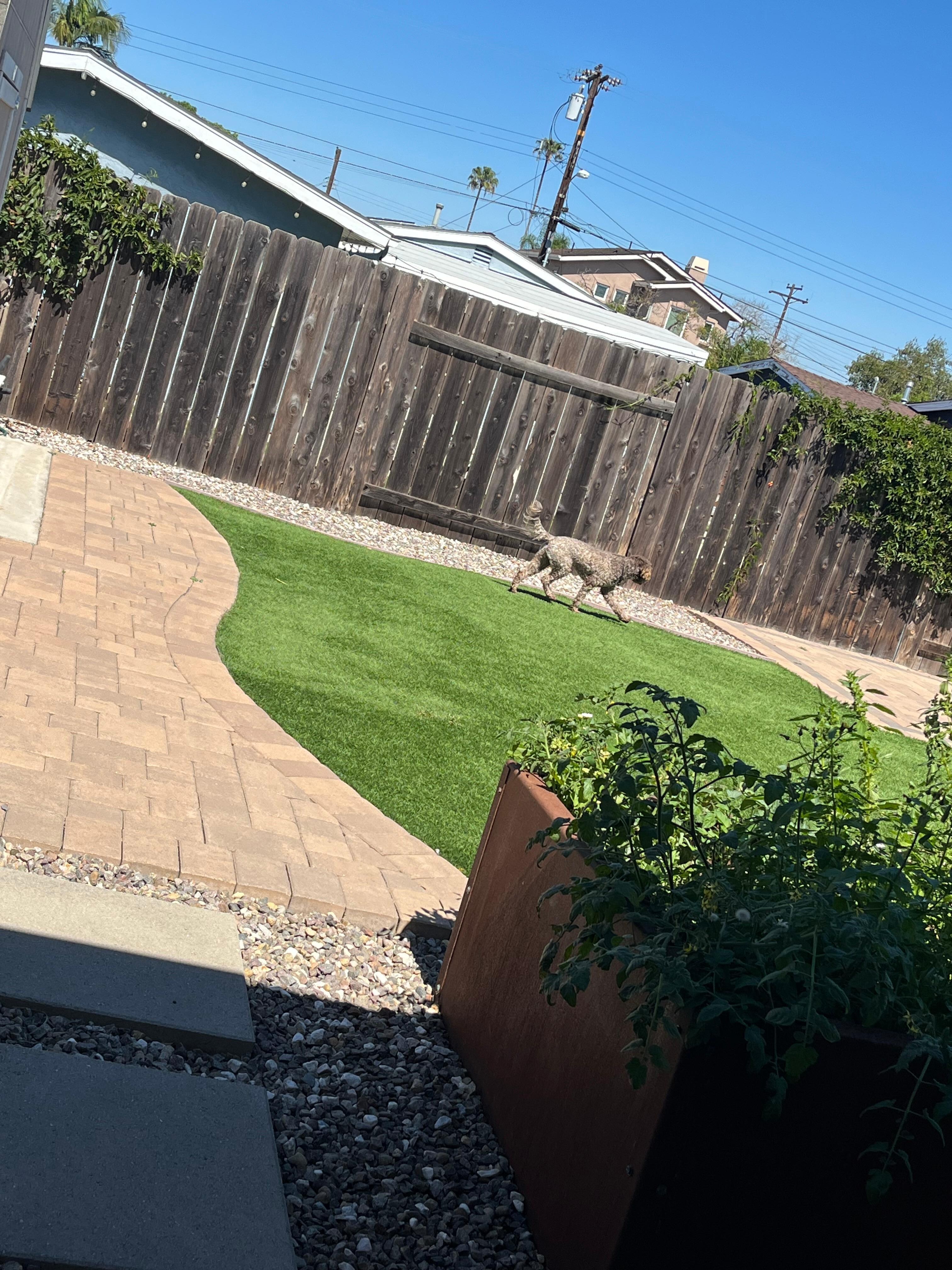 Beautiful clean fenced in back yard, picnic table, bbq… neighbors are great