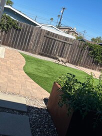 Beautiful clean fenced in back yard, picnic table, bbq… neighbors are great