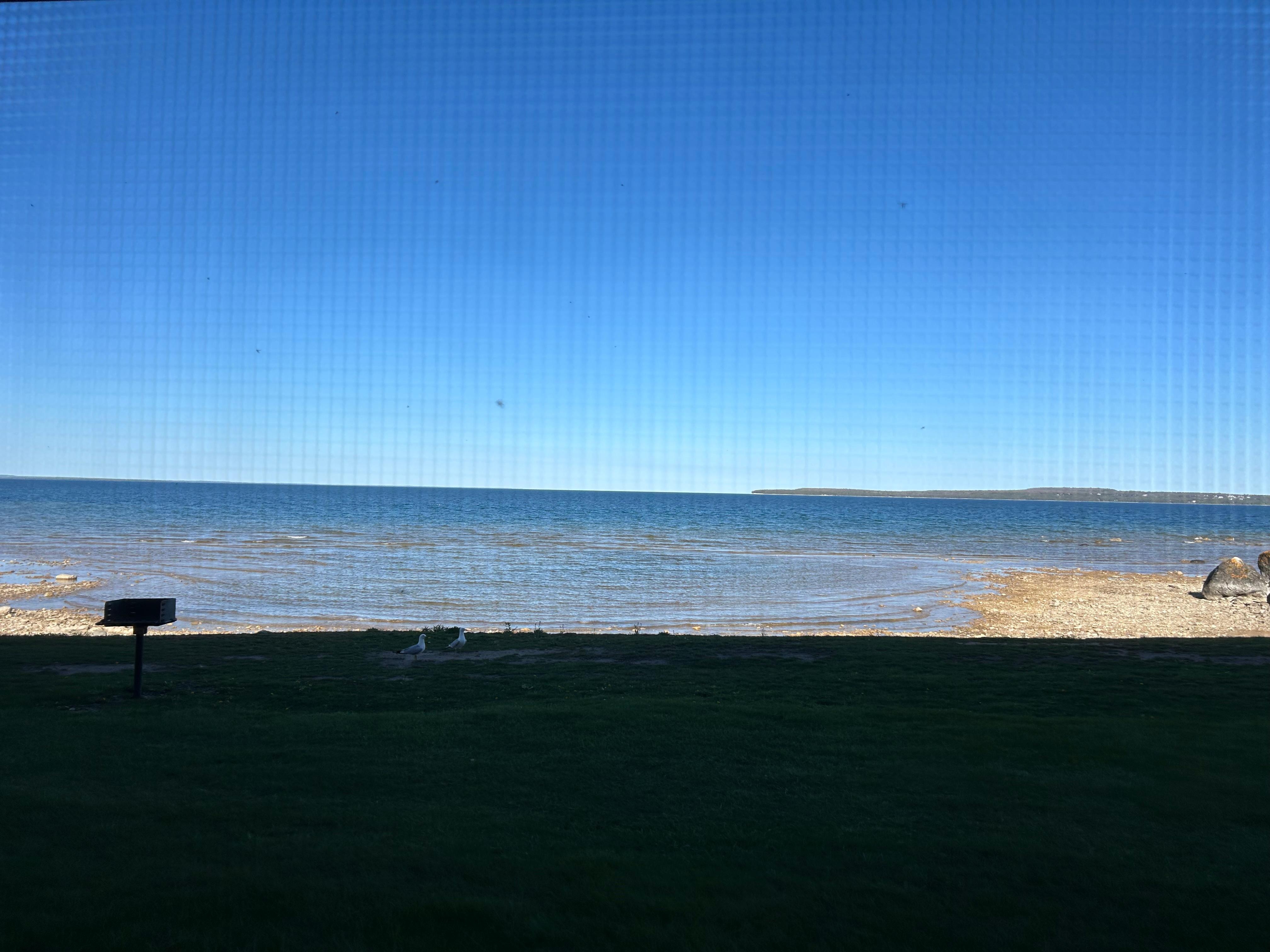 View from the patio door