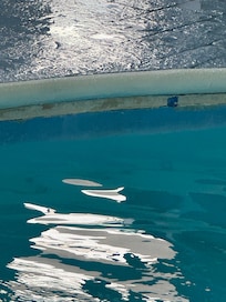 Pool disrepair