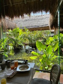 The view outside The Nest