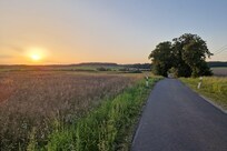 Sonnenuntergang über dem Grumsin