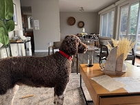 Even our dig loved the view