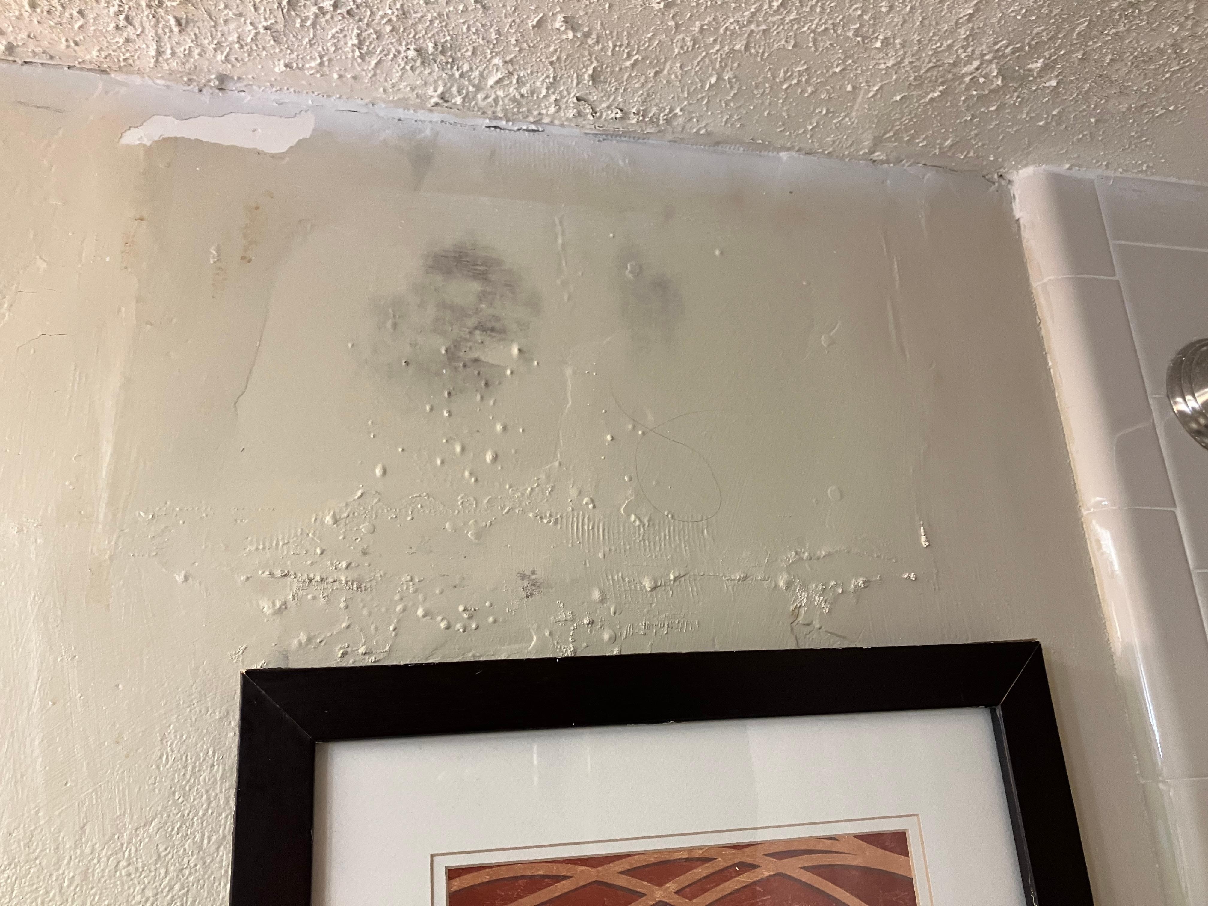 There was black mold on the wall in the bathroom. You could tell there were several attempts to cover it up. We would’ve switched to a different hotel, but we would’ve lost our money.