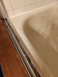 Buildup on tracks of shower door, unknown powder