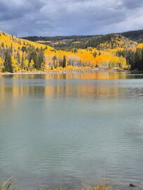 Fall colors on the Grand Mesa.