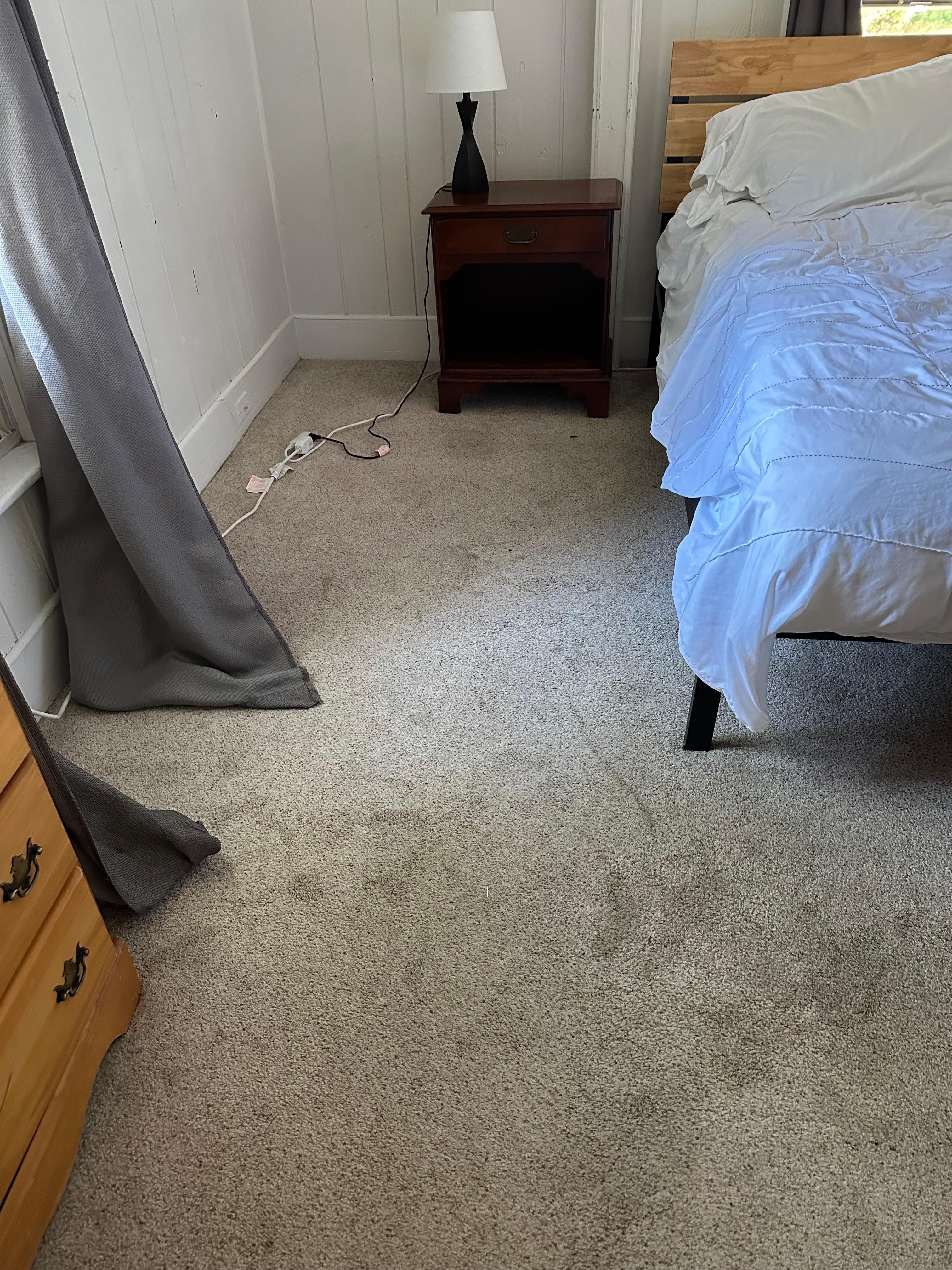 Carpet in bedroom