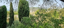 View of Lagrasse from the terrace.