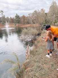 Priceless memories made at Blackberry Lane.