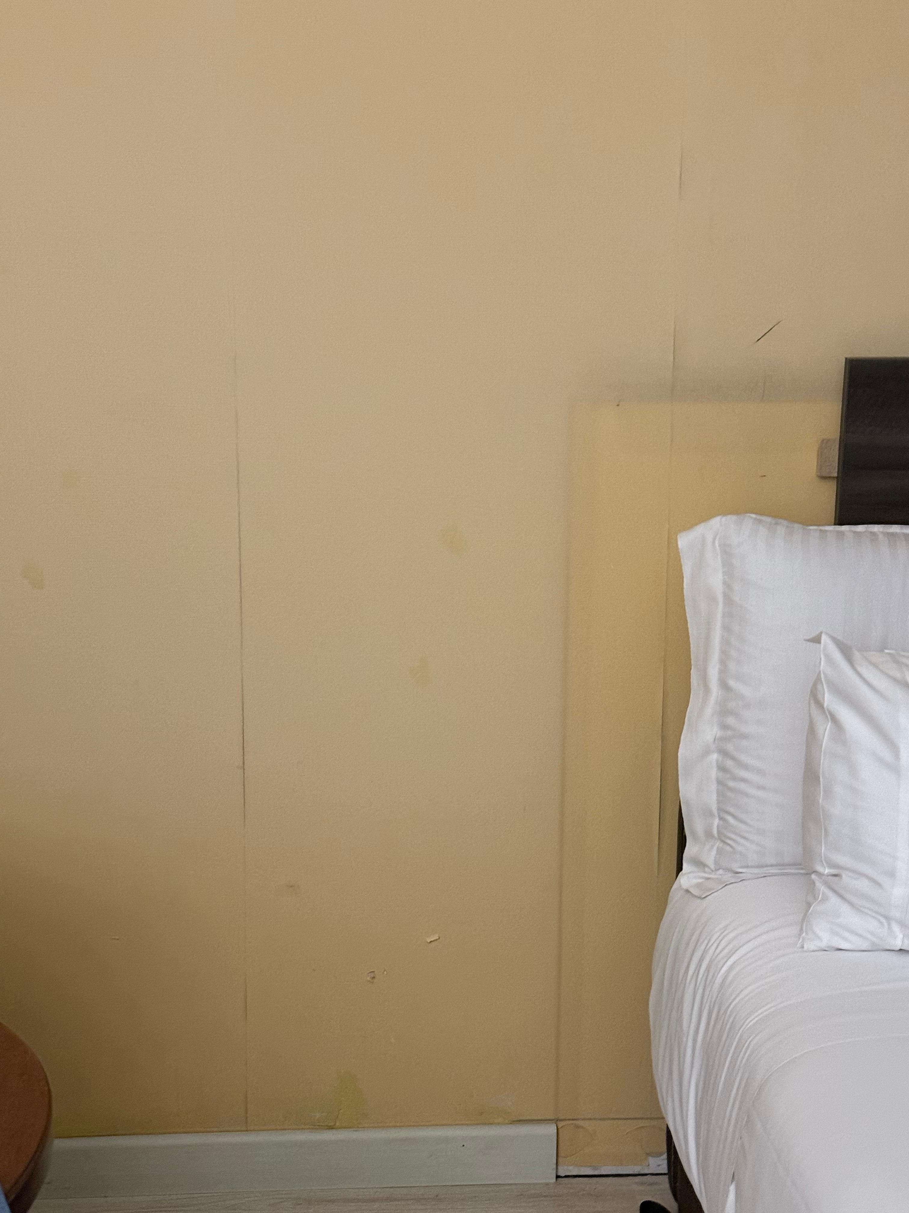 Paredes necesitan pintura 