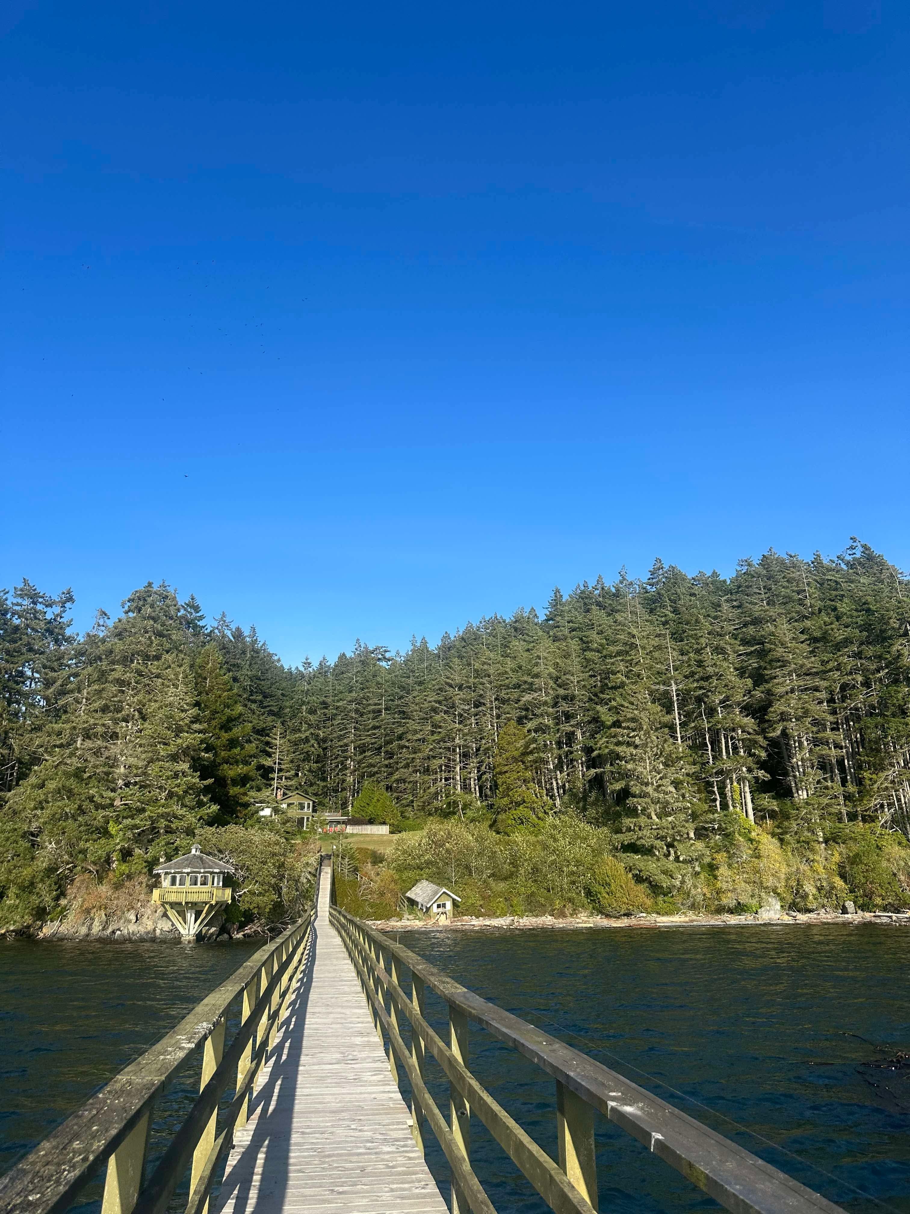 Private pier - look out for otters 