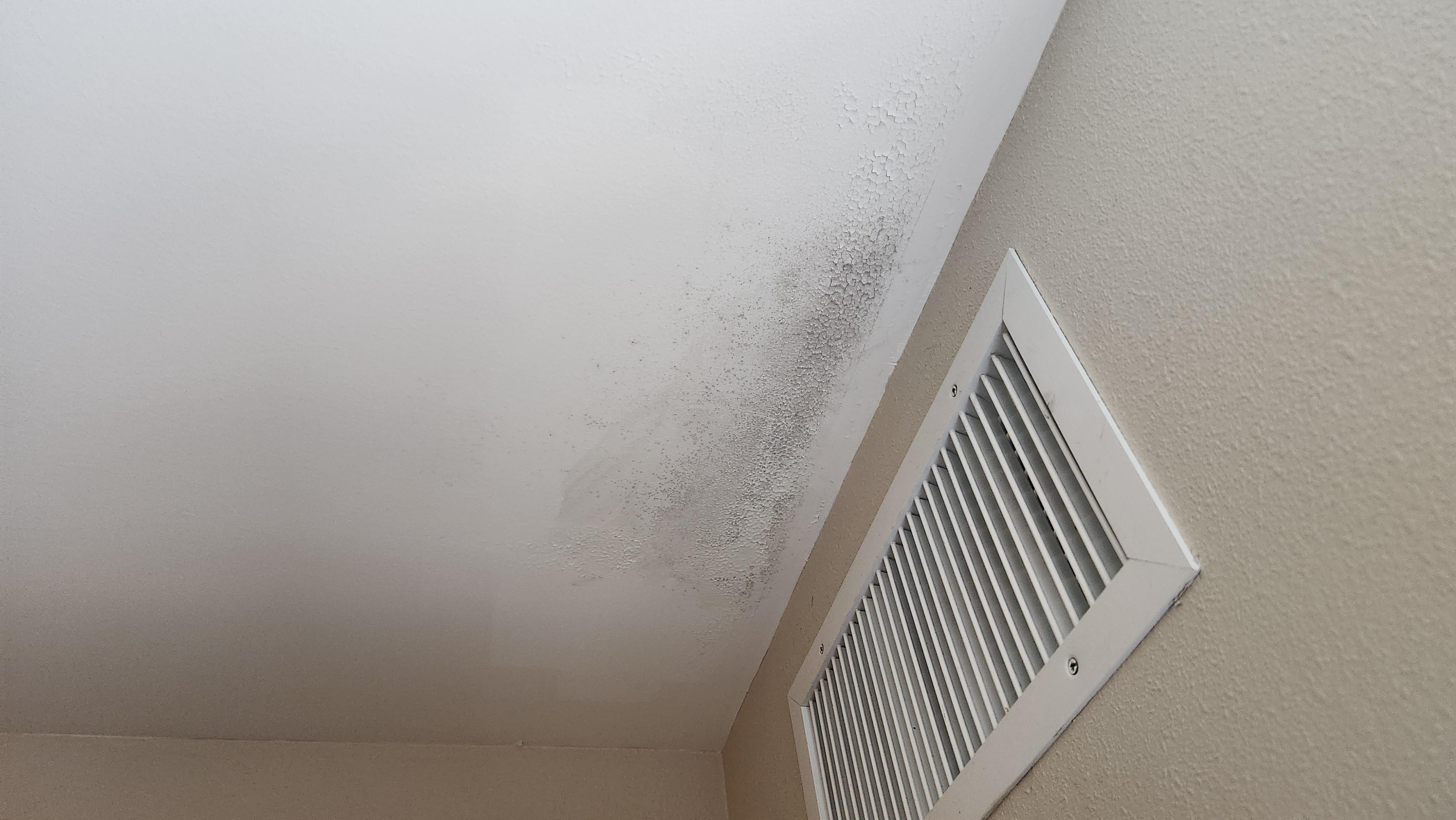Possible mold 