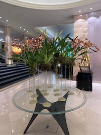 Lobby orchids