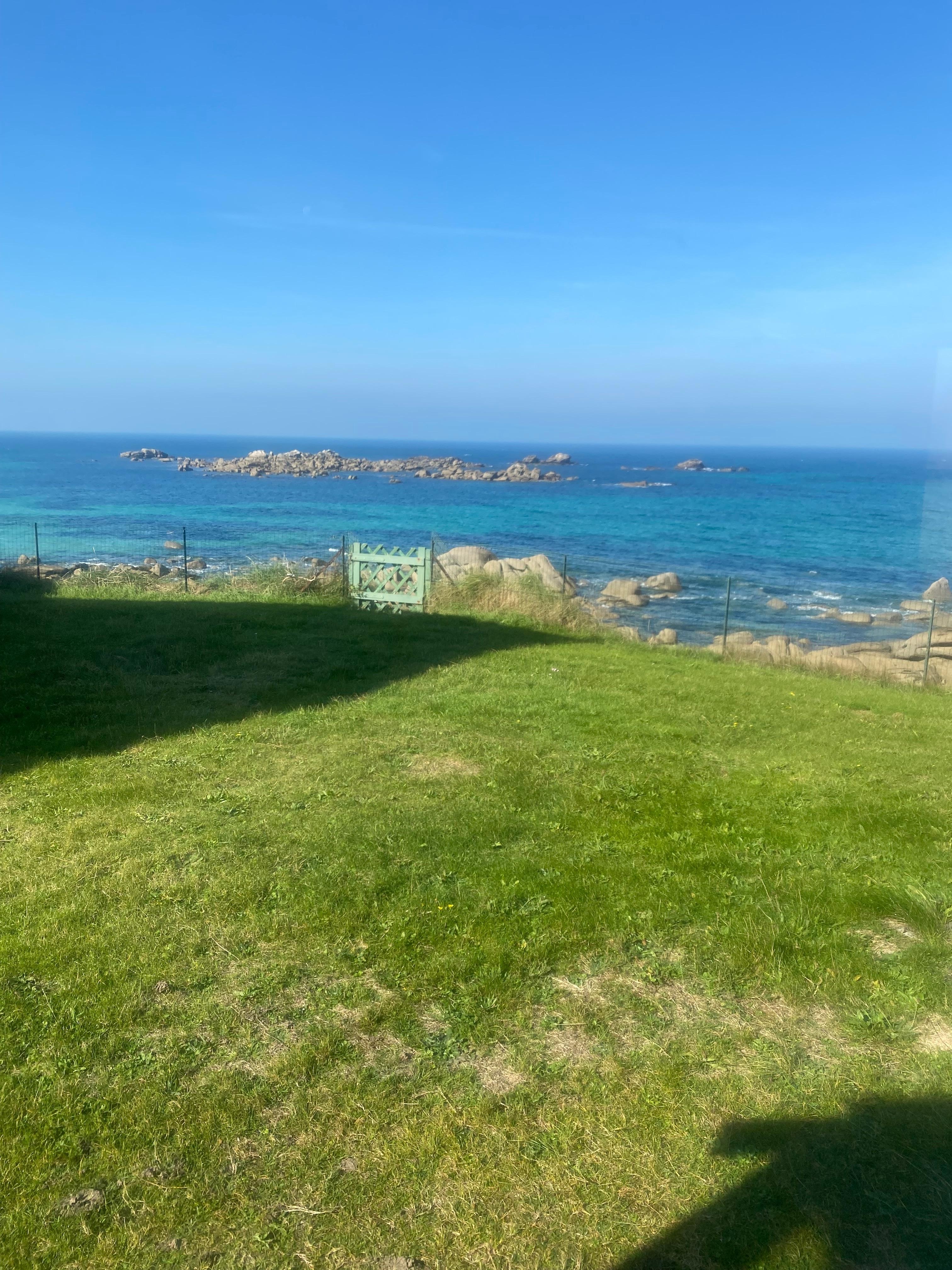 View from dining table 