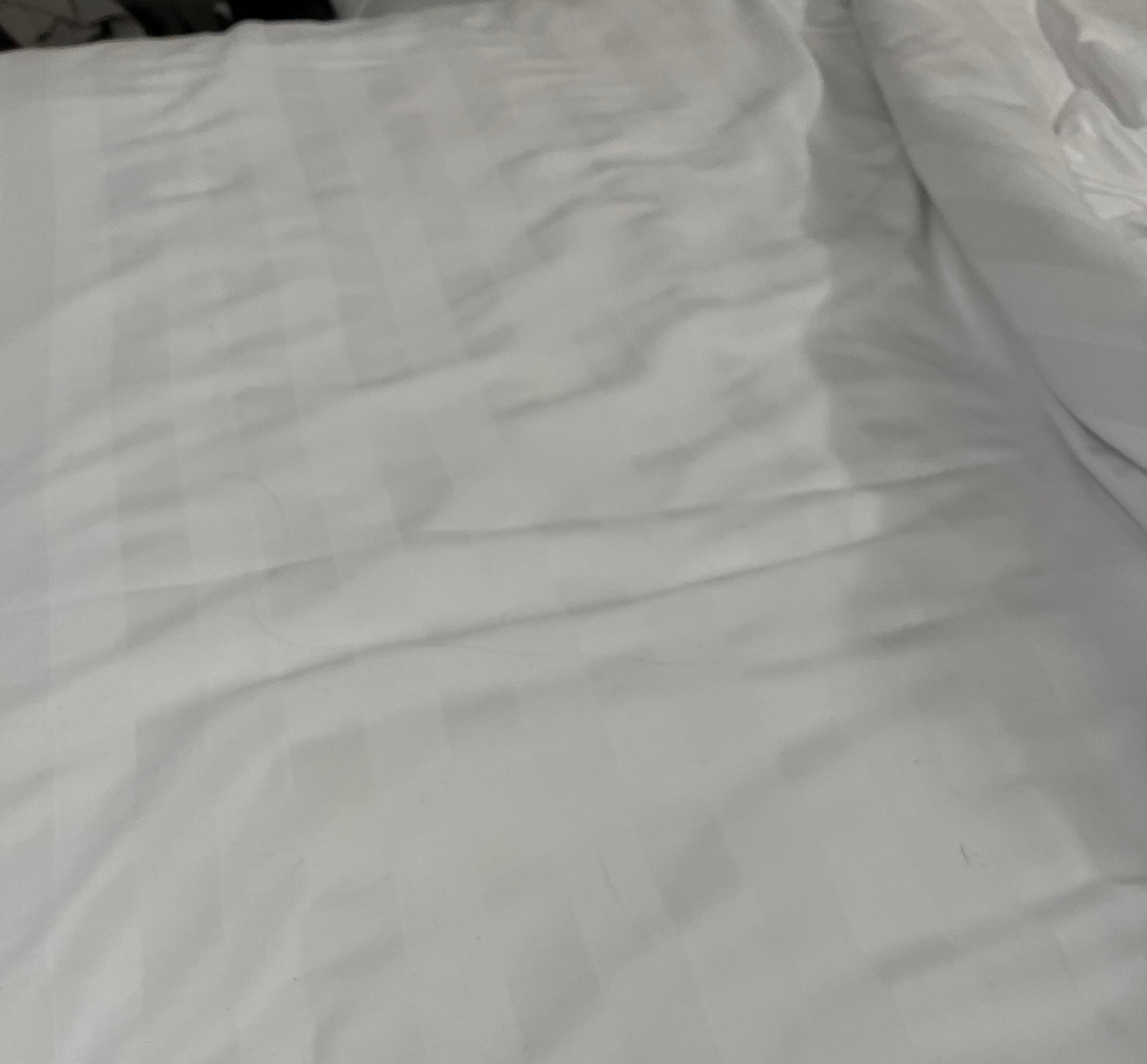 Long hairs everywhere 