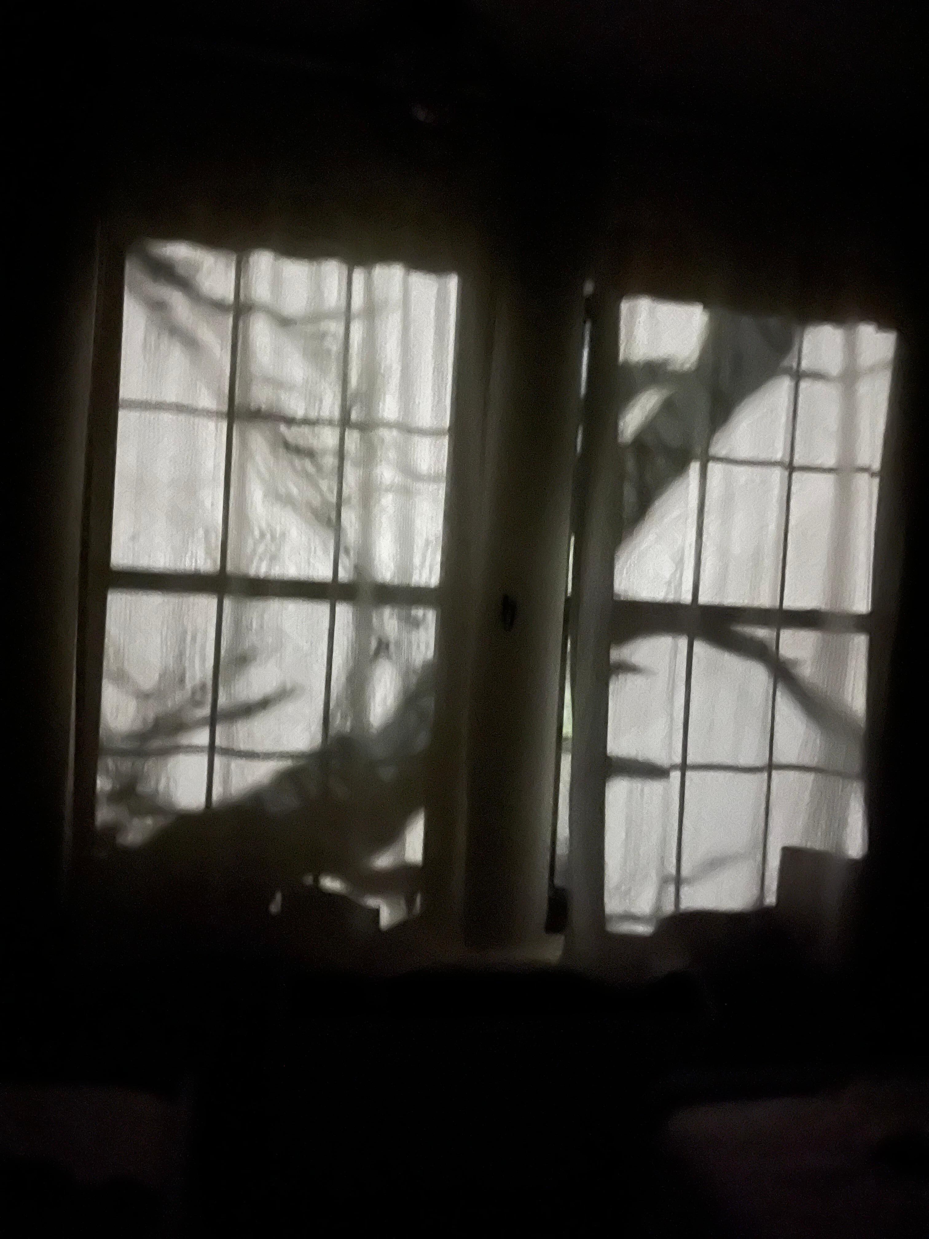 Cool nighttime shadow.
