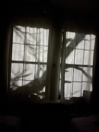 Cool nighttime shadow.