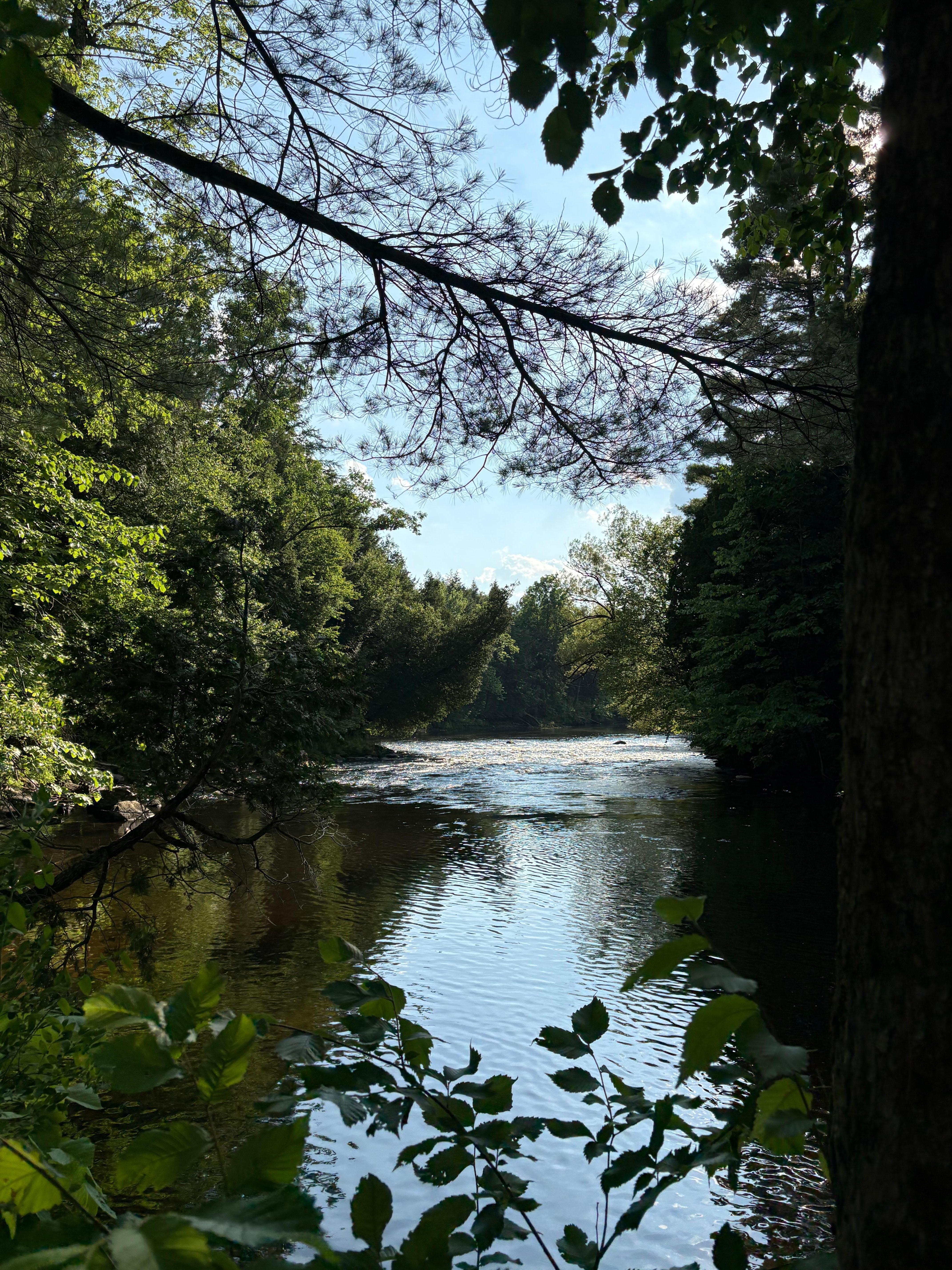 Salmon River