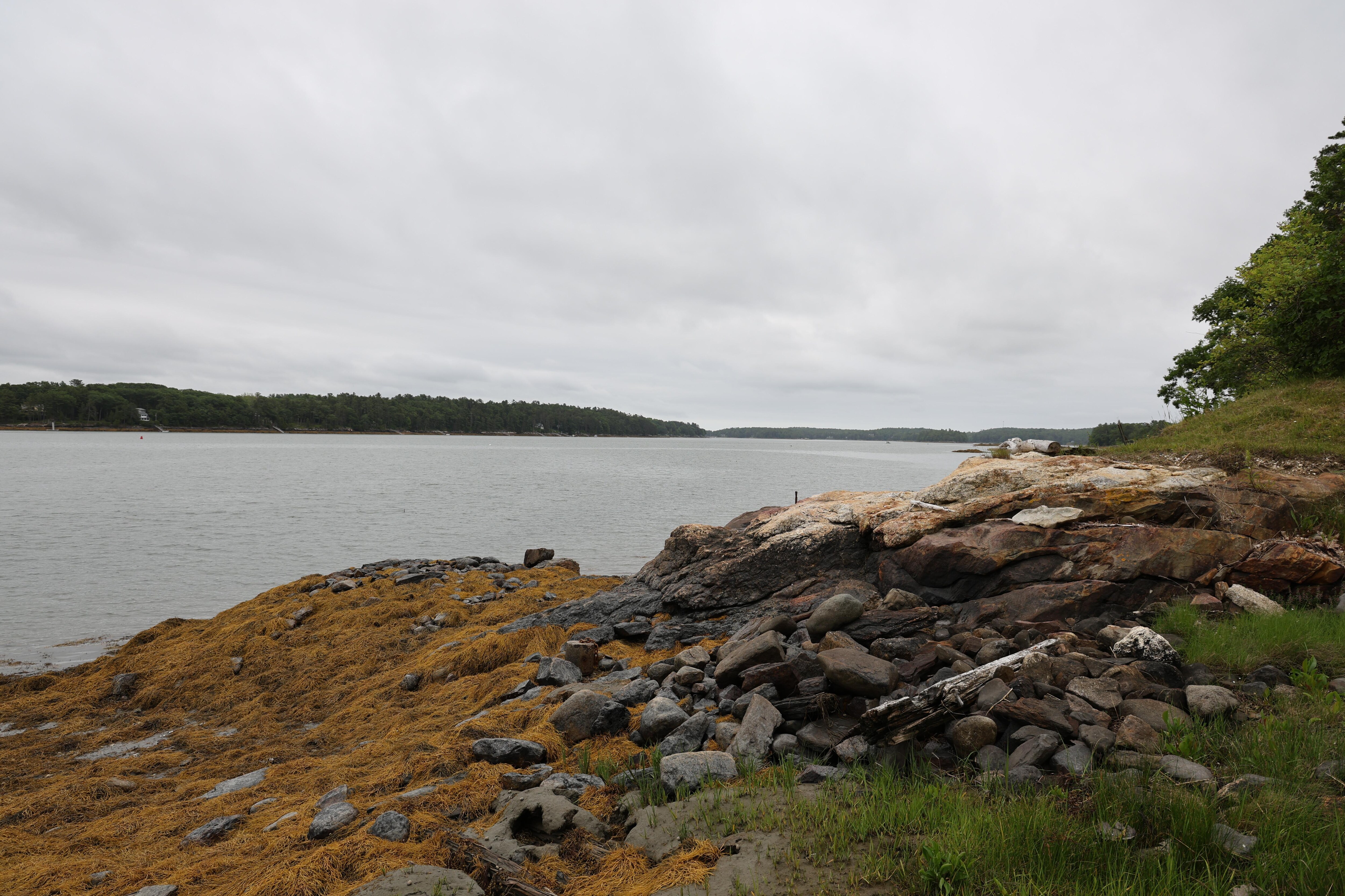 View from bank low tide