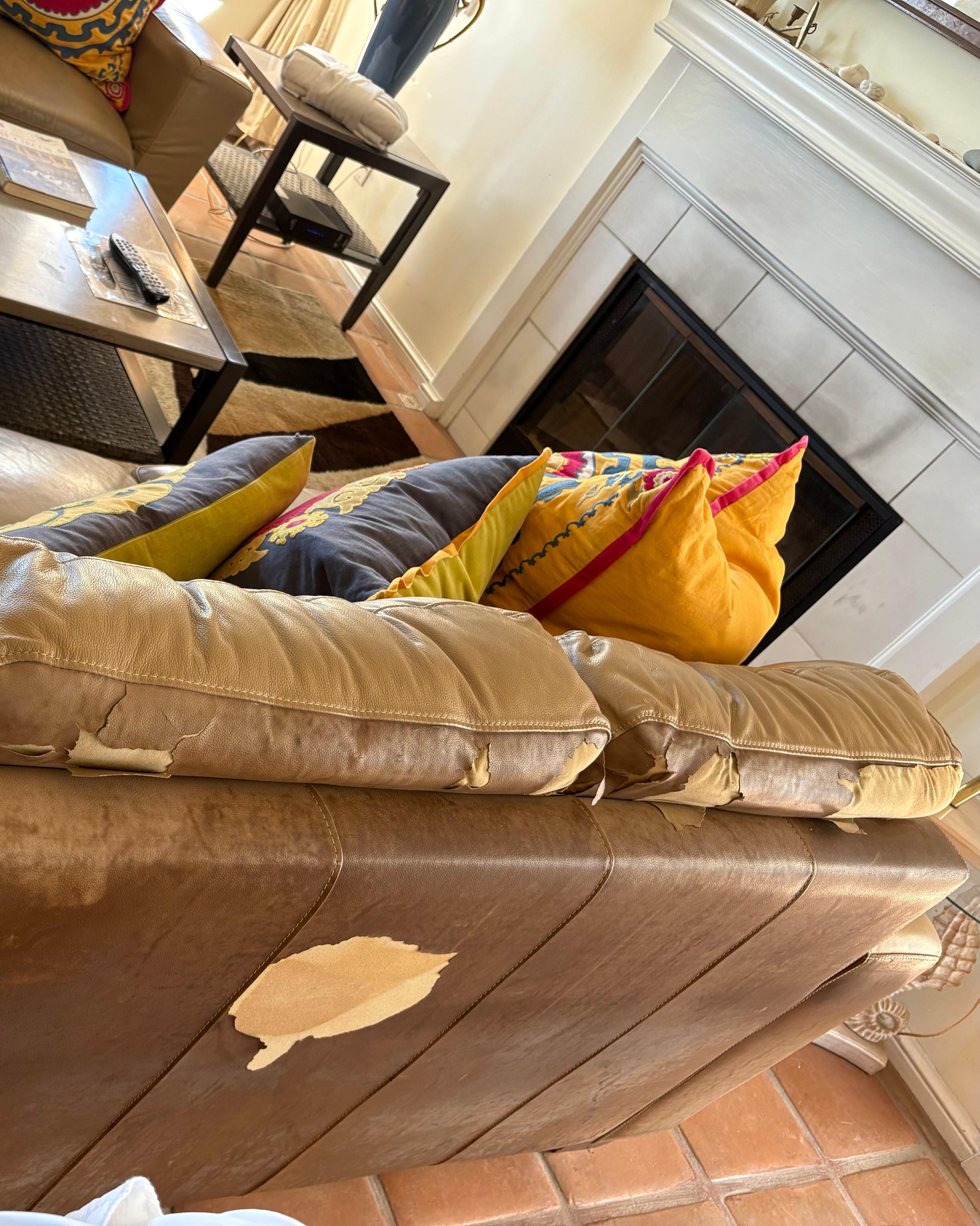 Living room couch