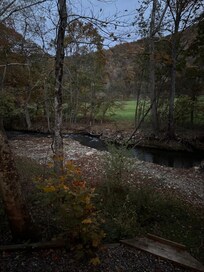 Mountain stream right outside of the back door!
