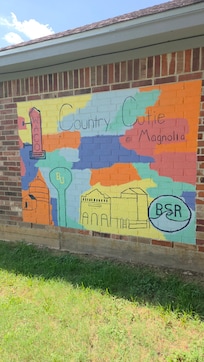 Loved the Mural on the back of the house