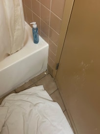 The bathroom was filthy