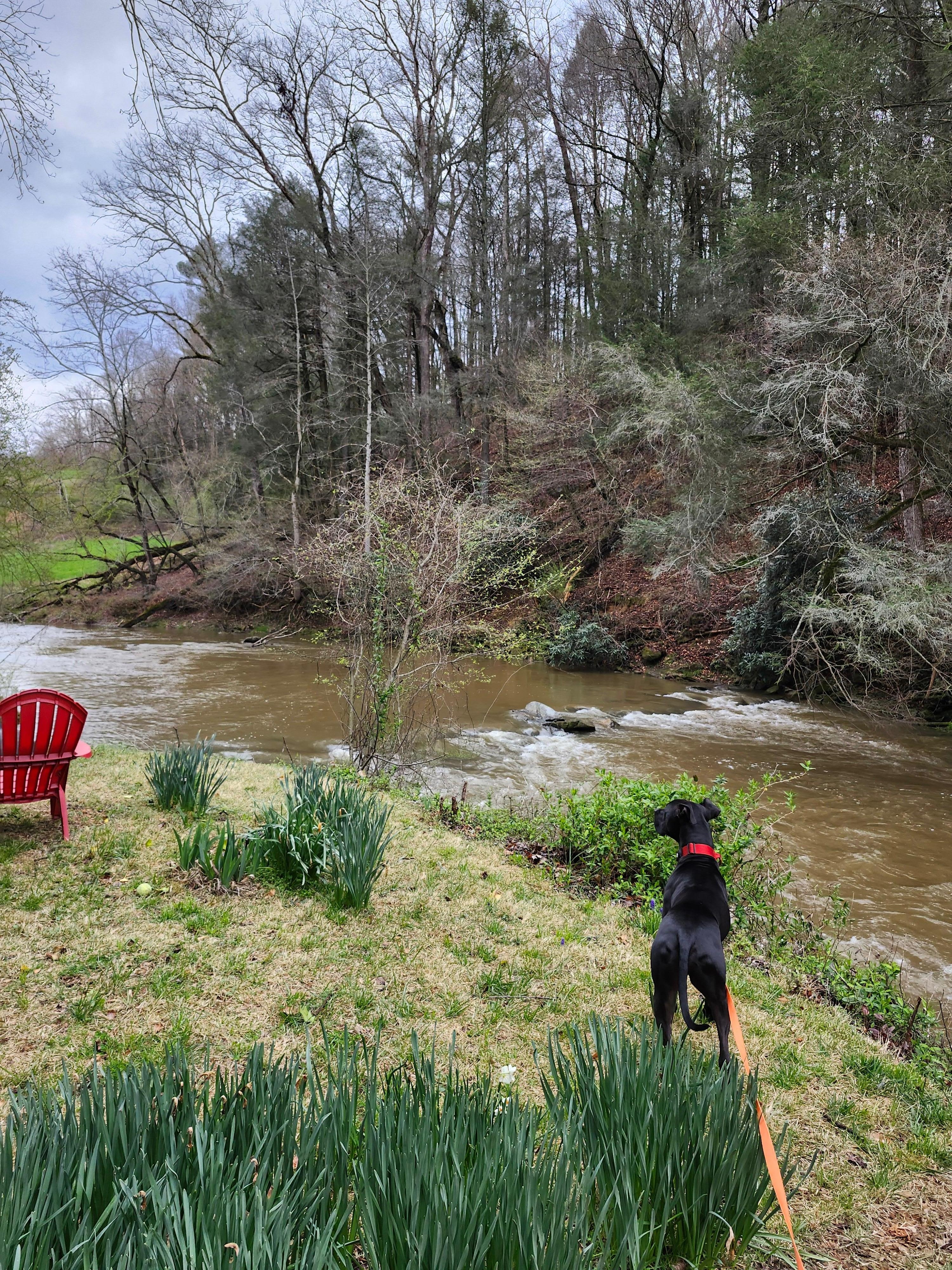 Bentley's first day exploring.