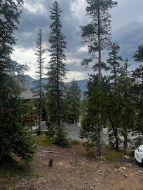 View from patio