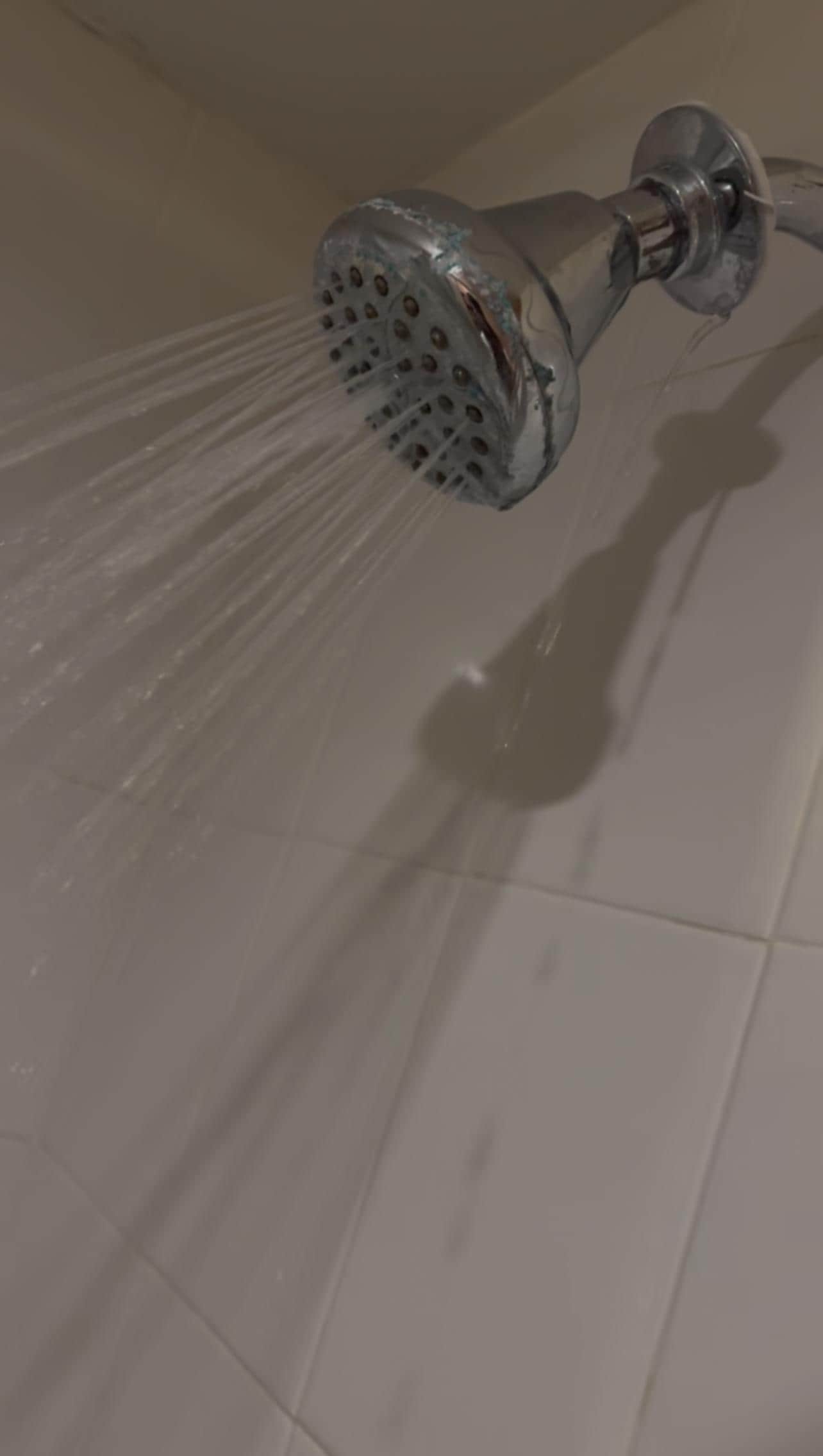 Filthy showerhead, you can tell that room service does not clean