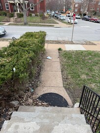 Lots of litter and cigarette butts in the front. Easy to clean up/would make it feel nicer.