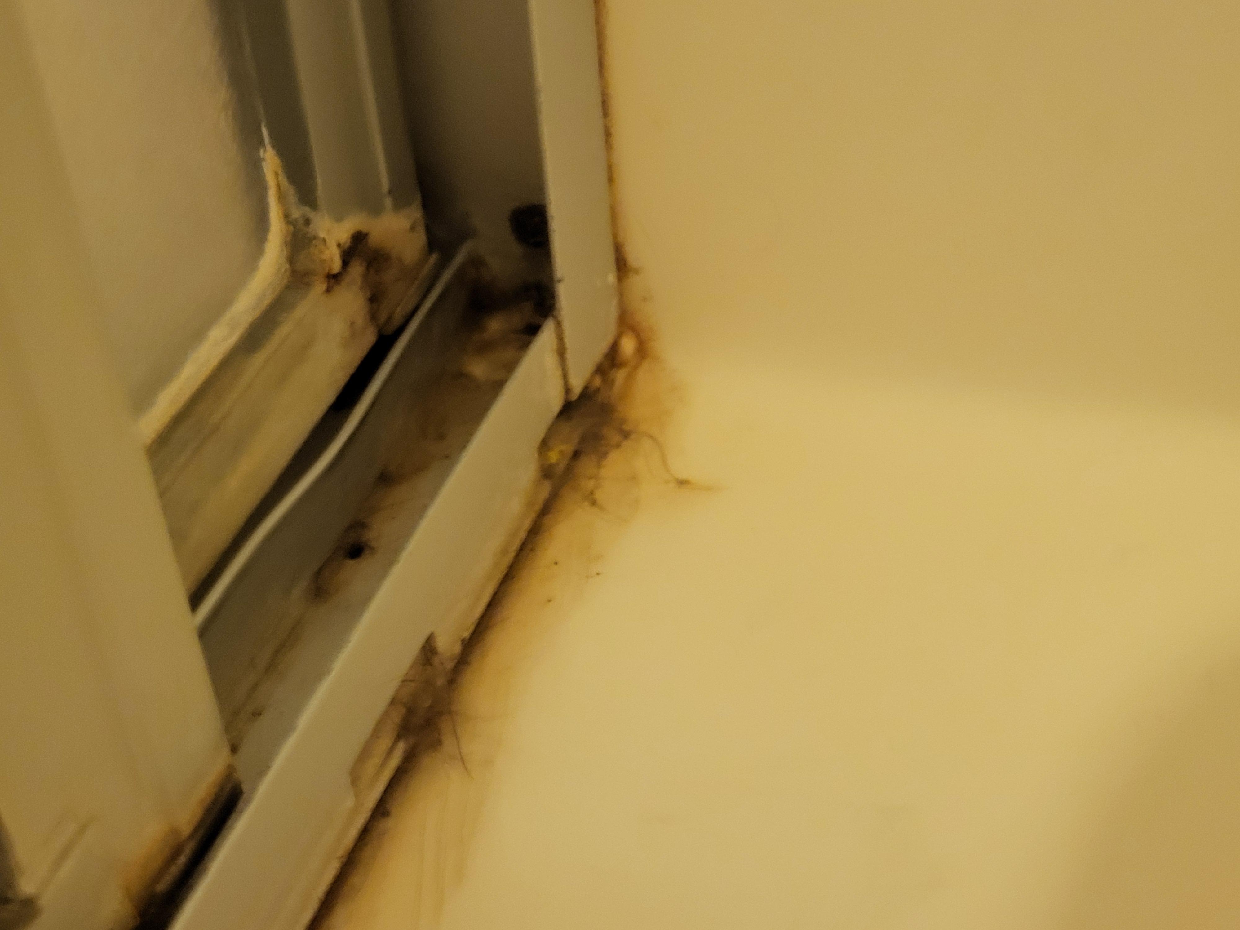 Shower door (inside)