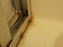 Shower door (inside)