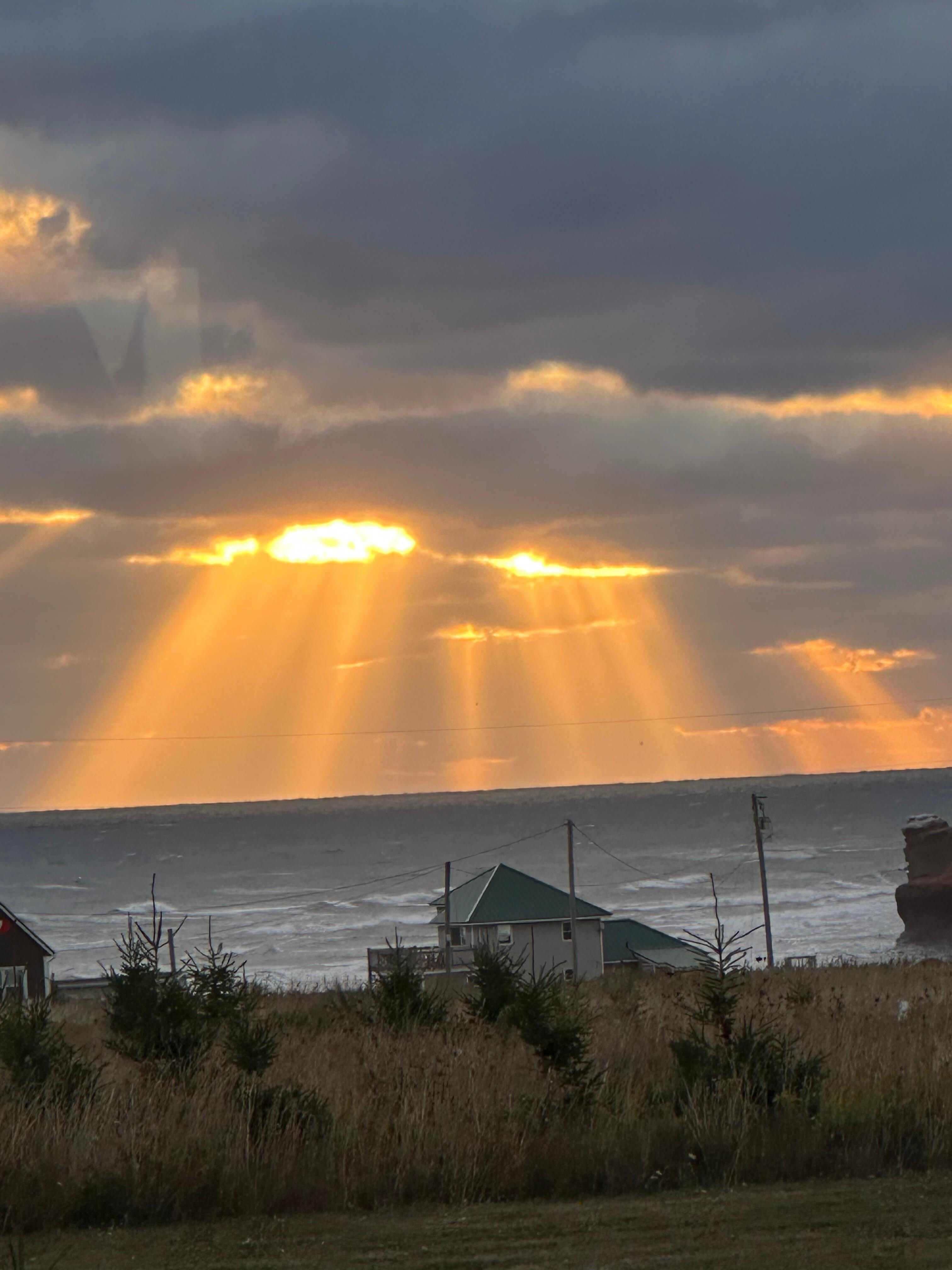 Morning view from deck. 