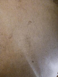 Carpet