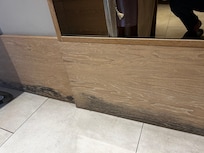 Moldy wood siding
