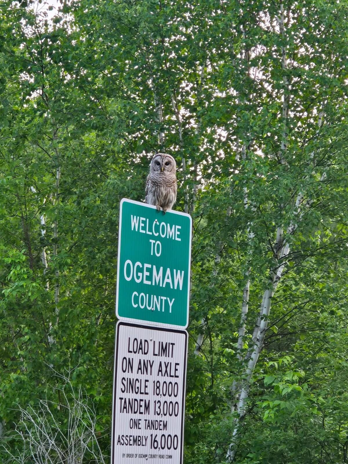 PICTURE PERFECT HEADNIG BACK TO THE COTTAGE THE FIRST NIGHT THERE FROM LONG LAKE BAR & GRILL