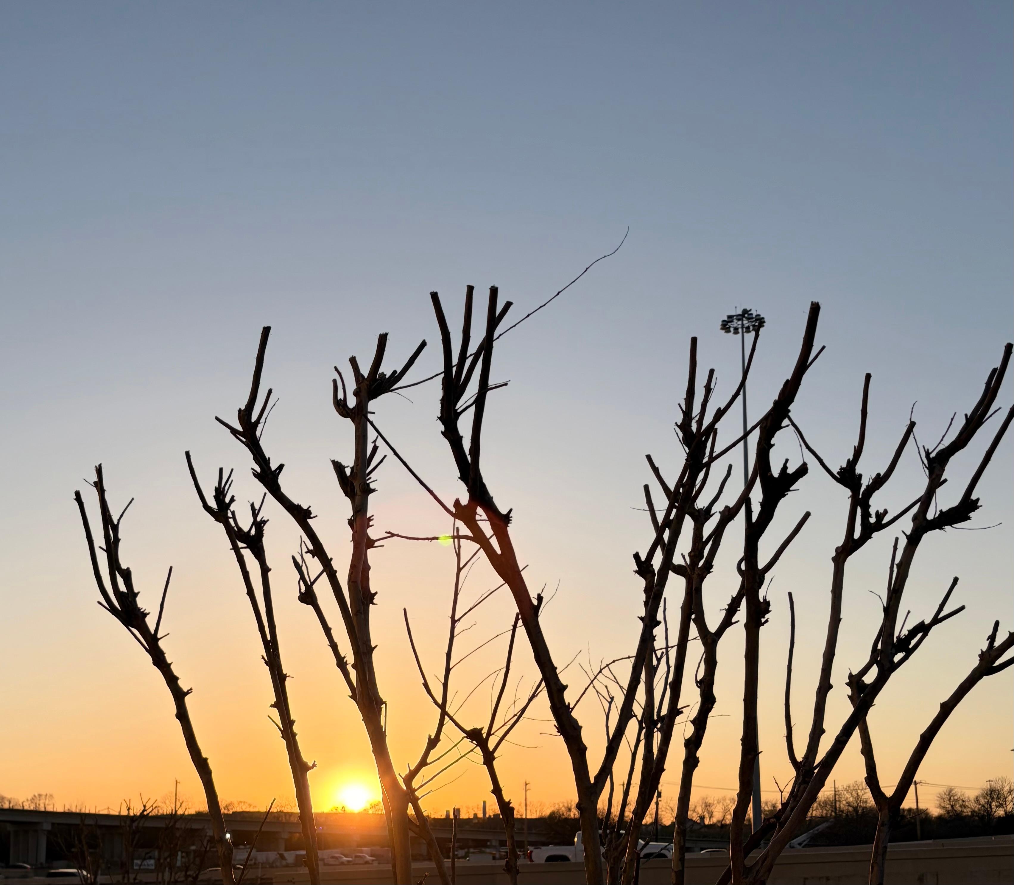 Sunset from outdoor patio near dining area